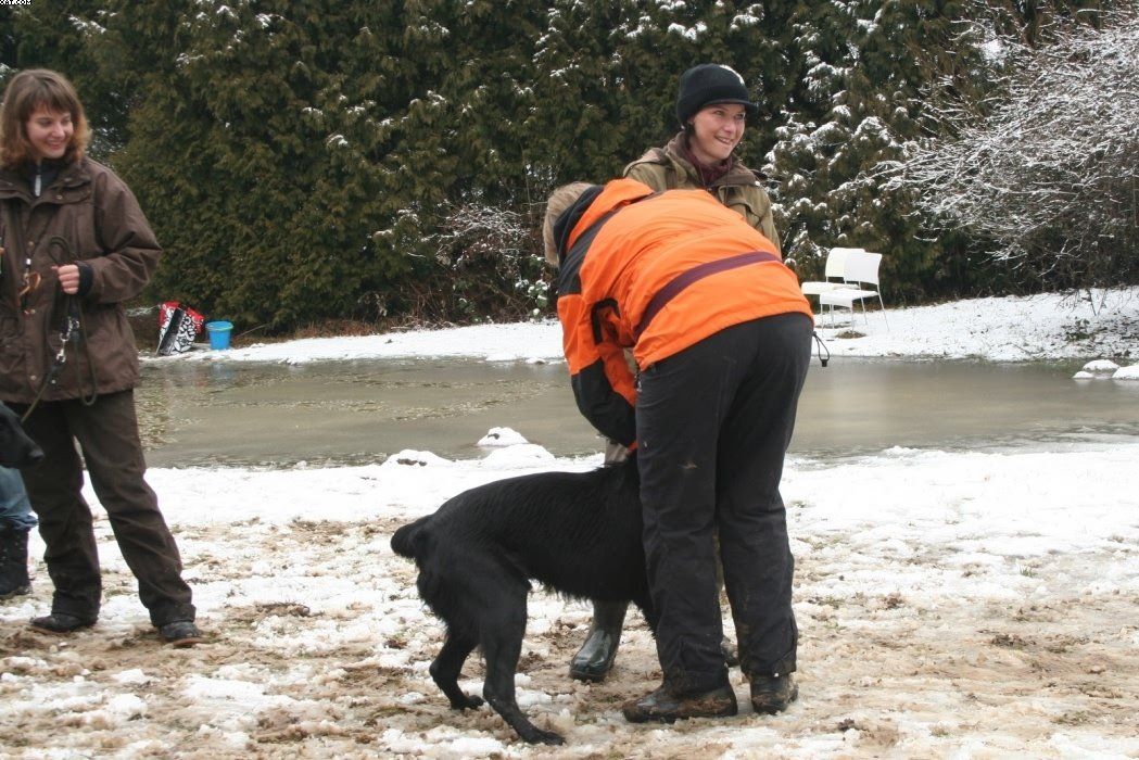 Img 1234124101 994 lg opt