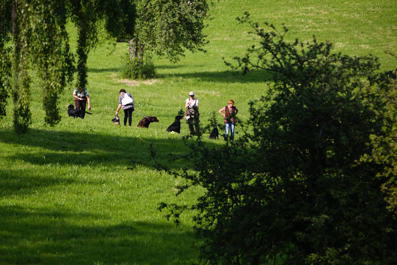 Limgl1376 20130609 1803196710