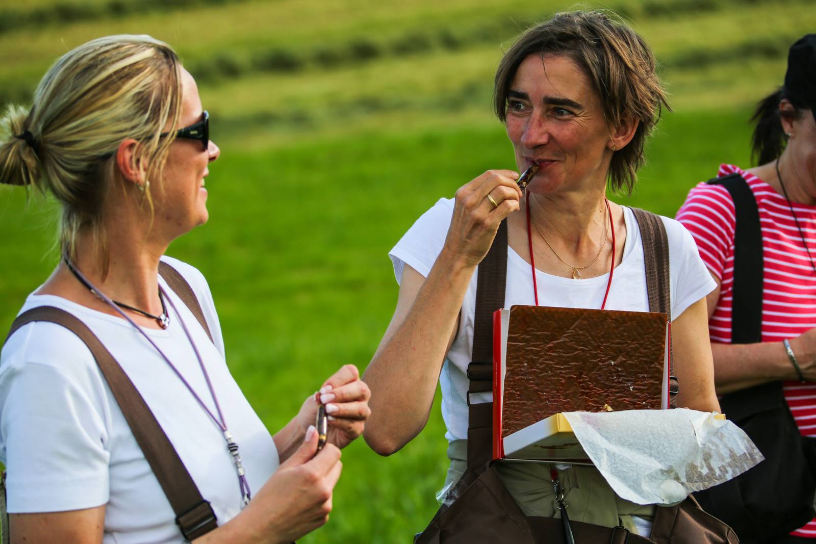 Limgl1379 20130609 1973209272