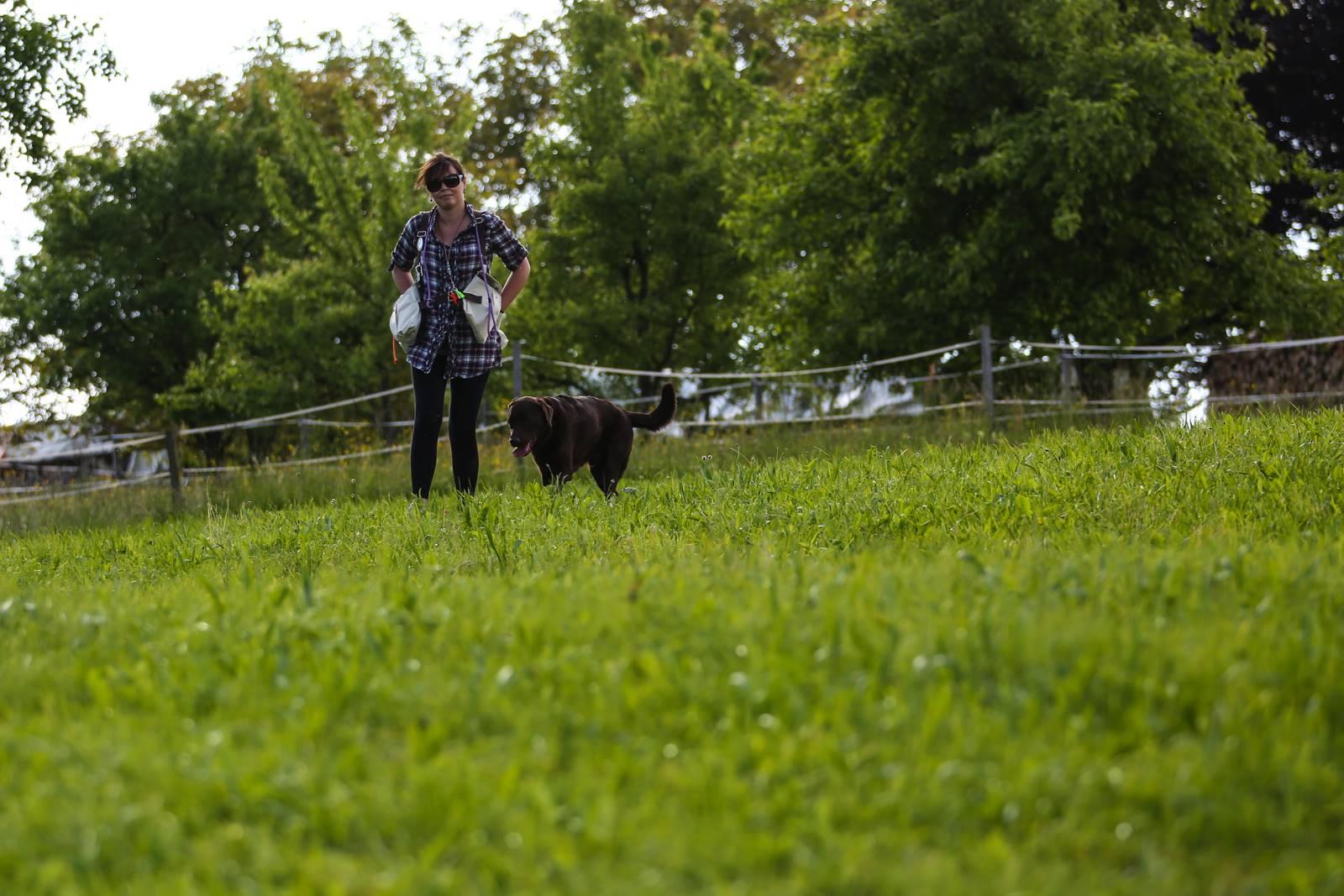 Limgl1380 20130609 1753080617