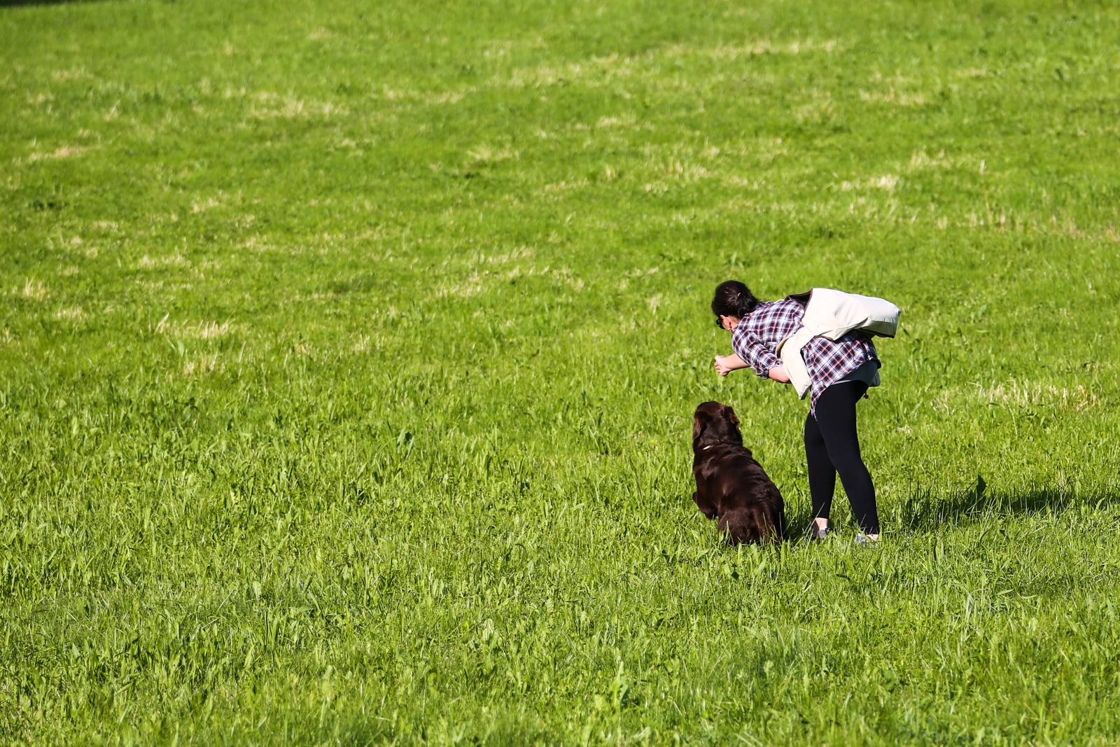 Limgl1382 20130609 1082867774