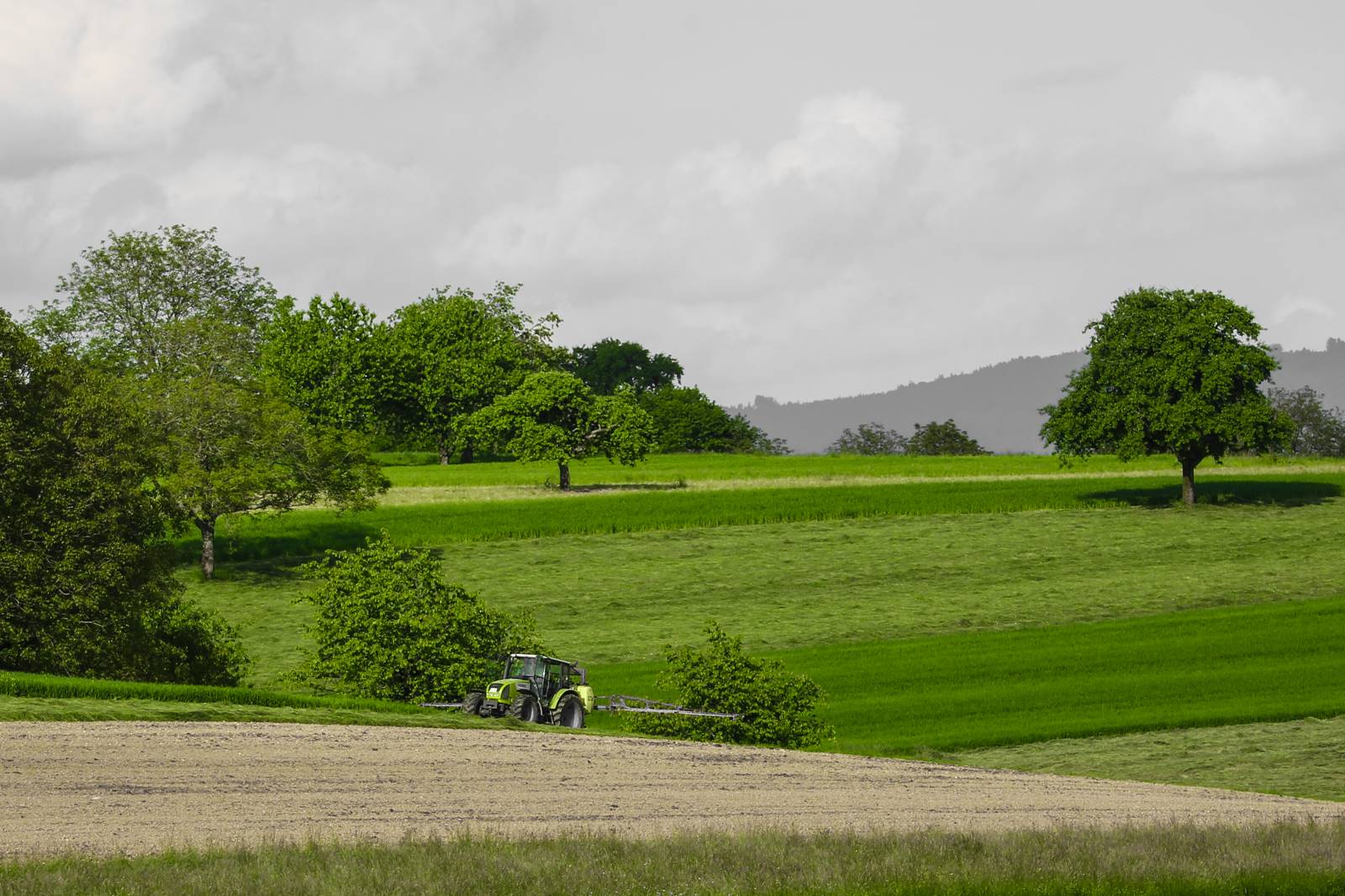 Limgl1387 20130609 1243042956