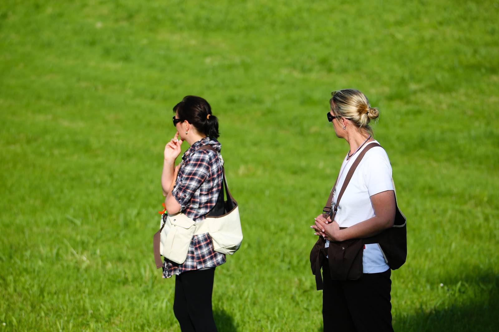 Limgl1389 20130609 1905384550