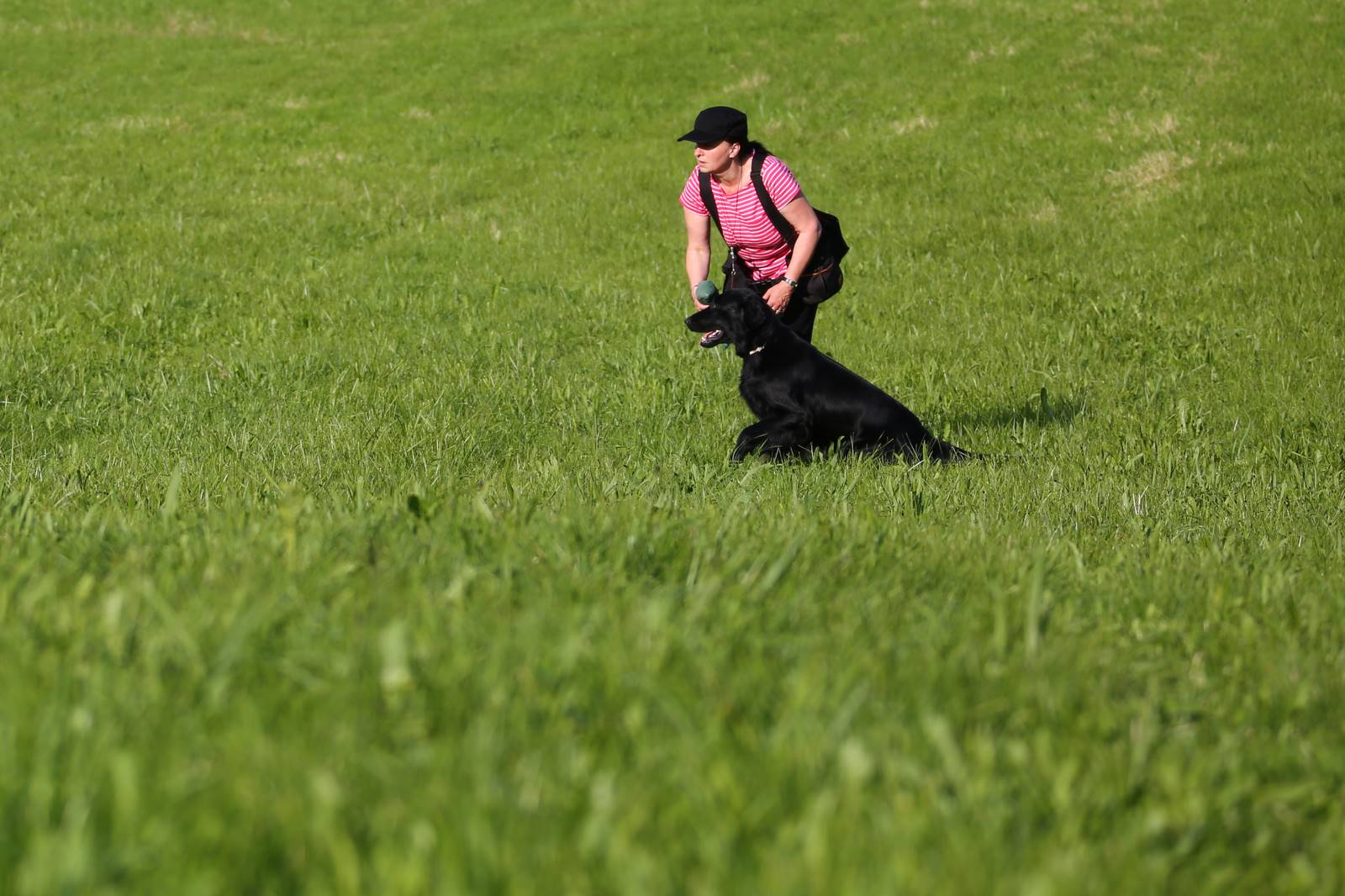 Limgl1390 20130609 1452179872