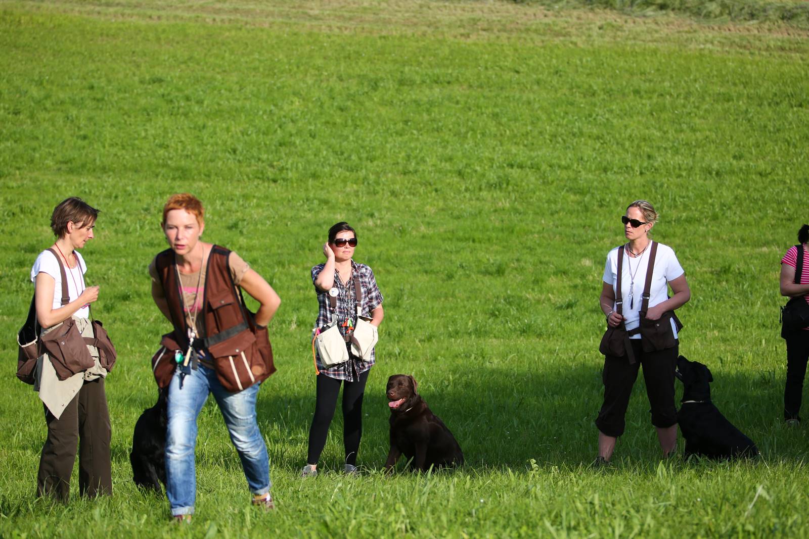 Limgl1391 20130609 1733722361