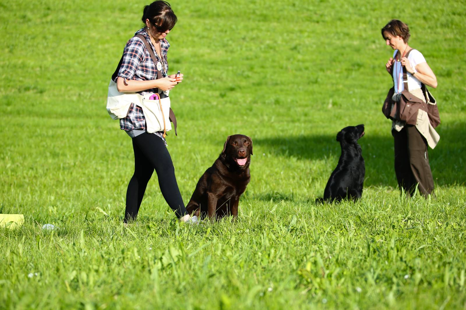 Limgl1401 20130609 1469299864