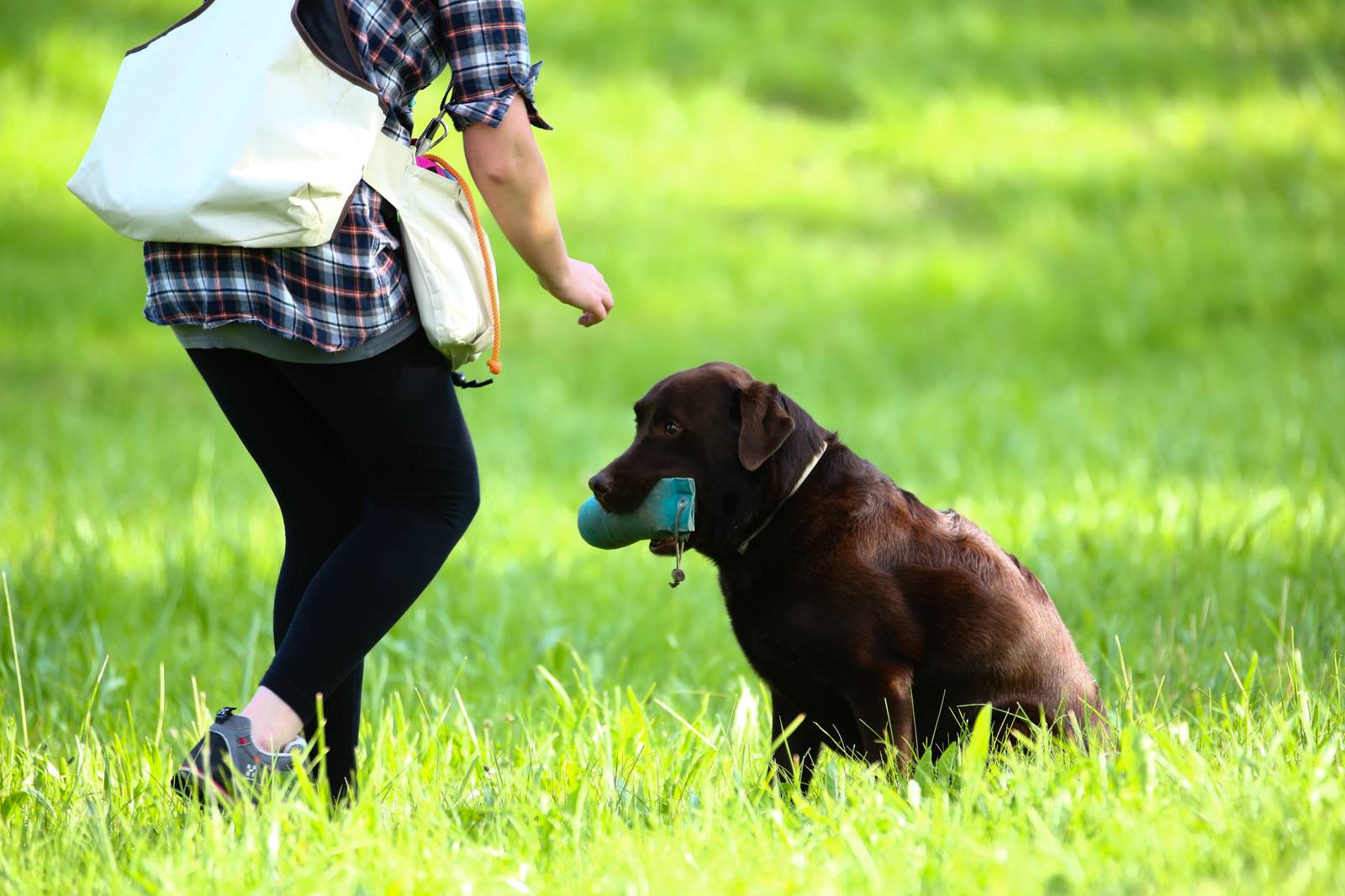 Limgl1405 20130609 1172778265