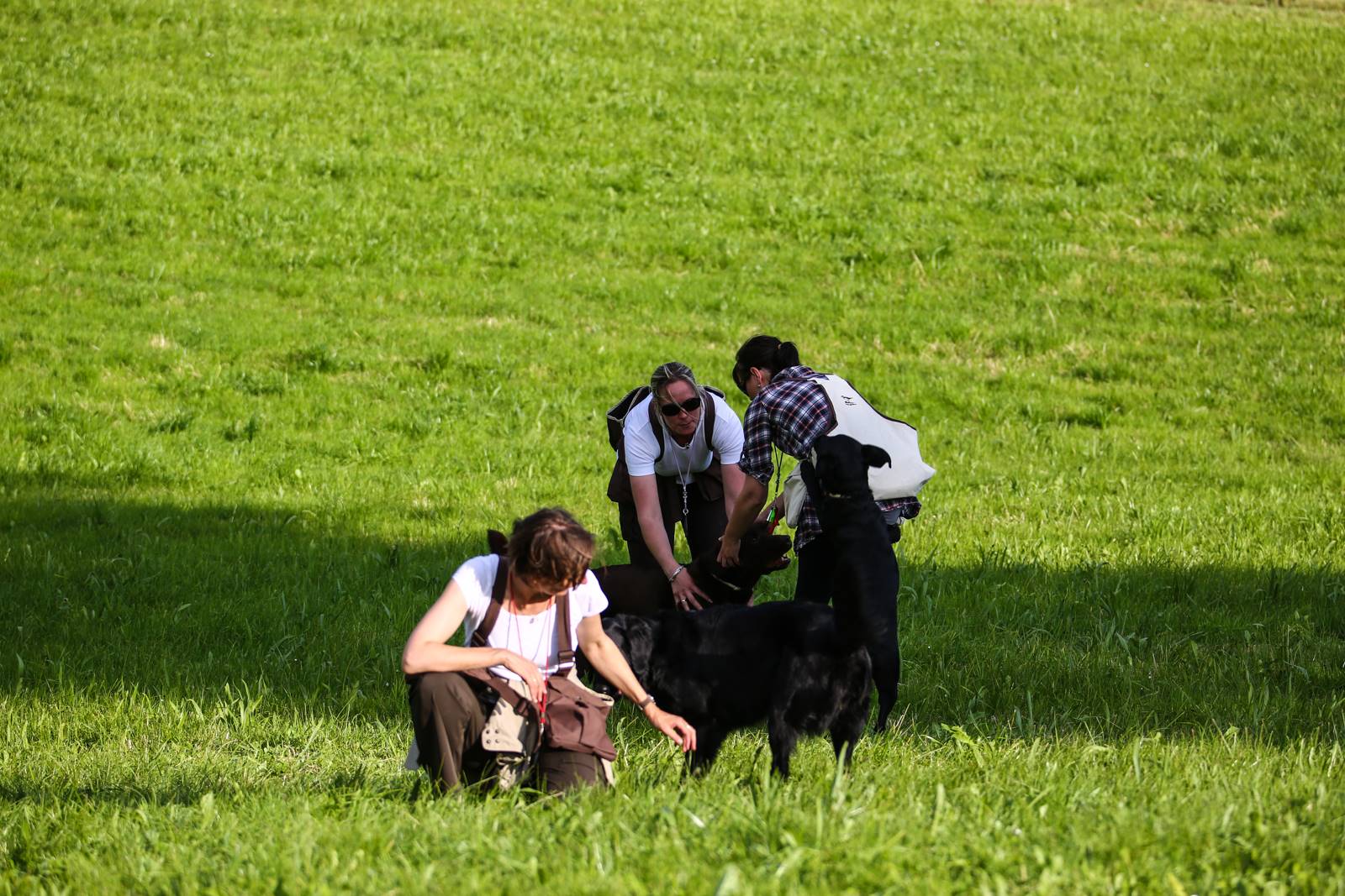 Limgl1414 20130609 1469270640