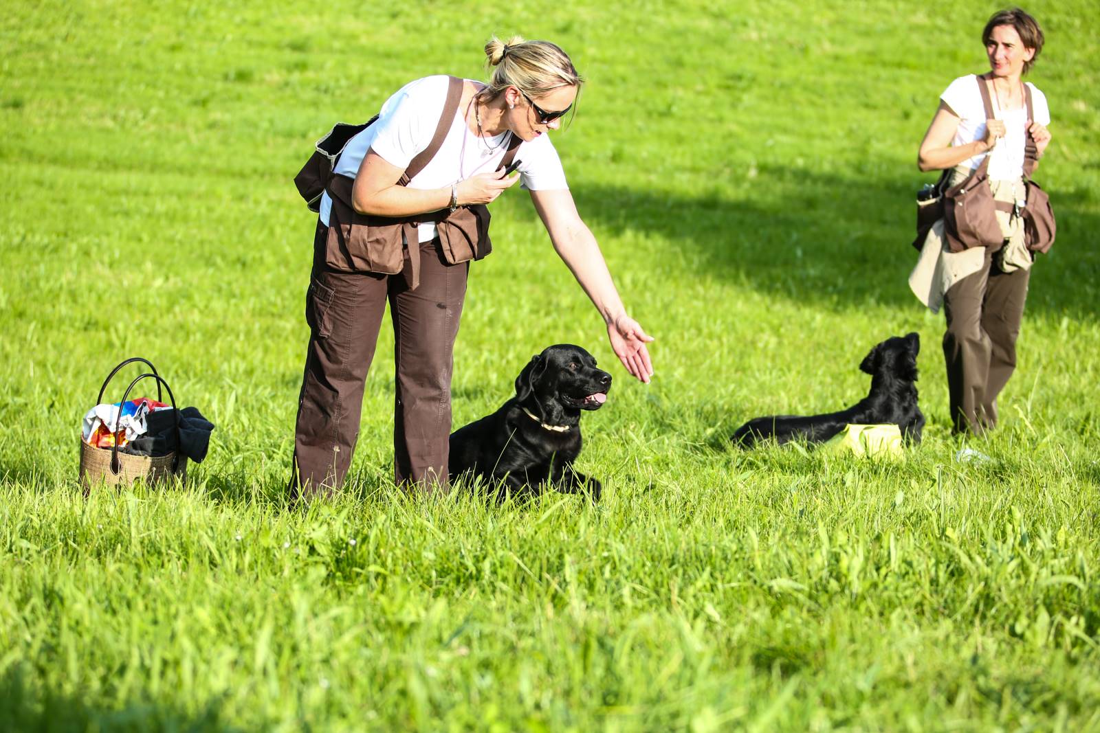 Limgl1421 20130609 1541747495