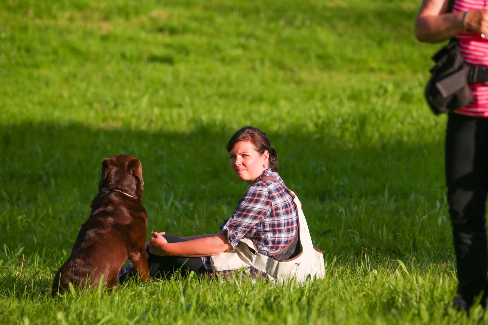 Limgl1426 20130609 1871591038