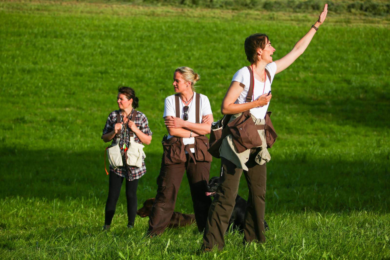 Limgl1429 20130609 1508362680