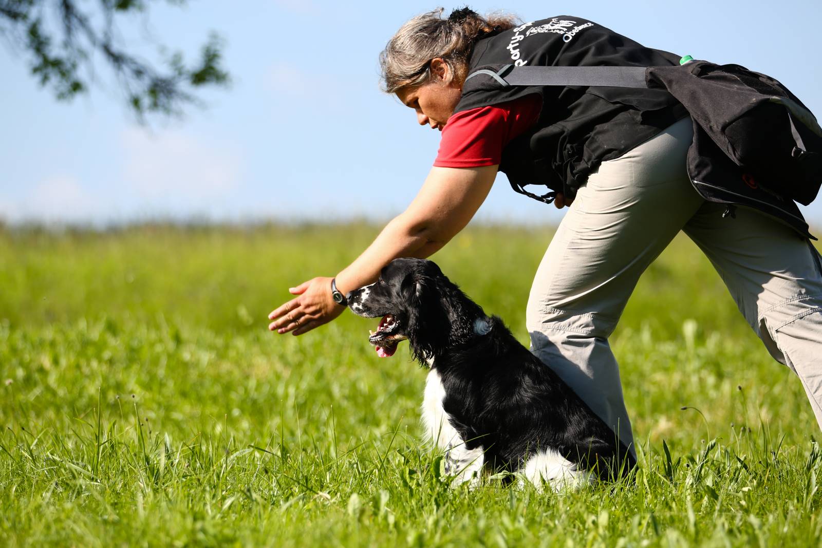 Limgl1441 20130609 1048287986