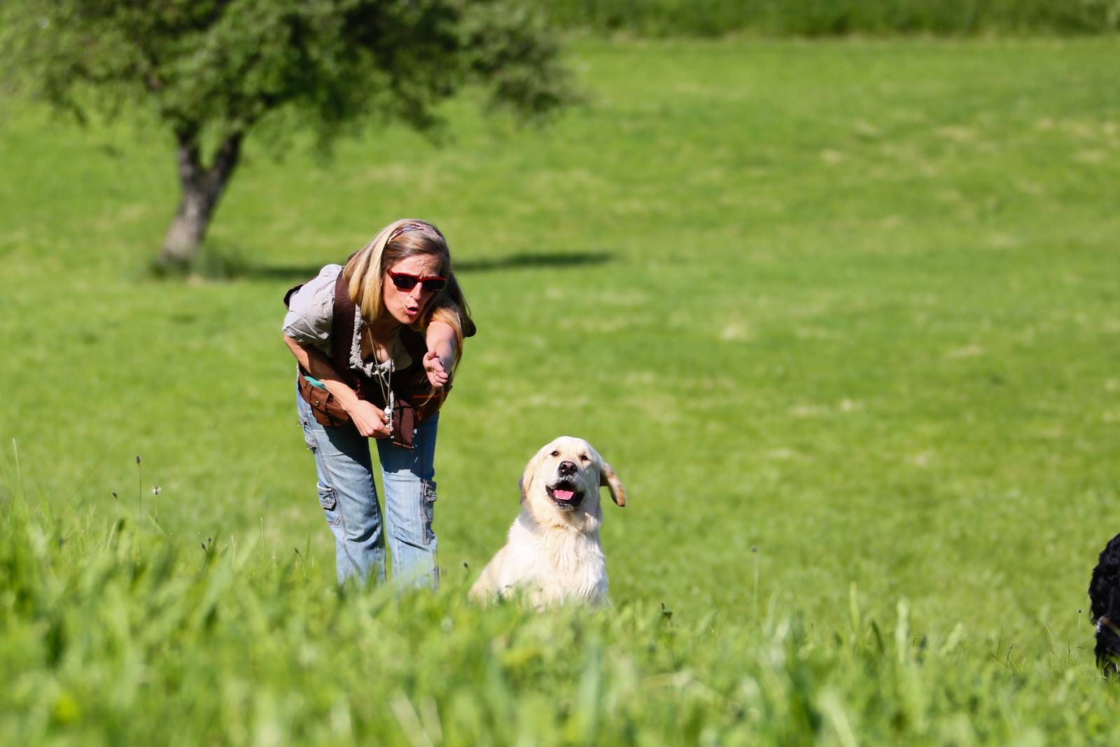 Limgl1449 20130609 1465173957