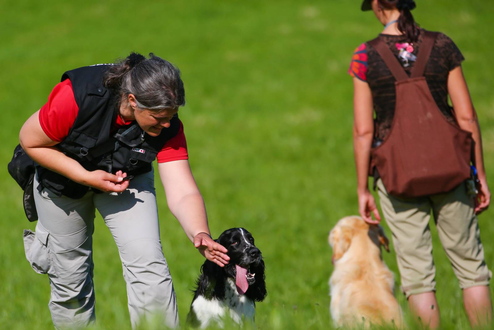 Limgl1453 20130609 1009440660