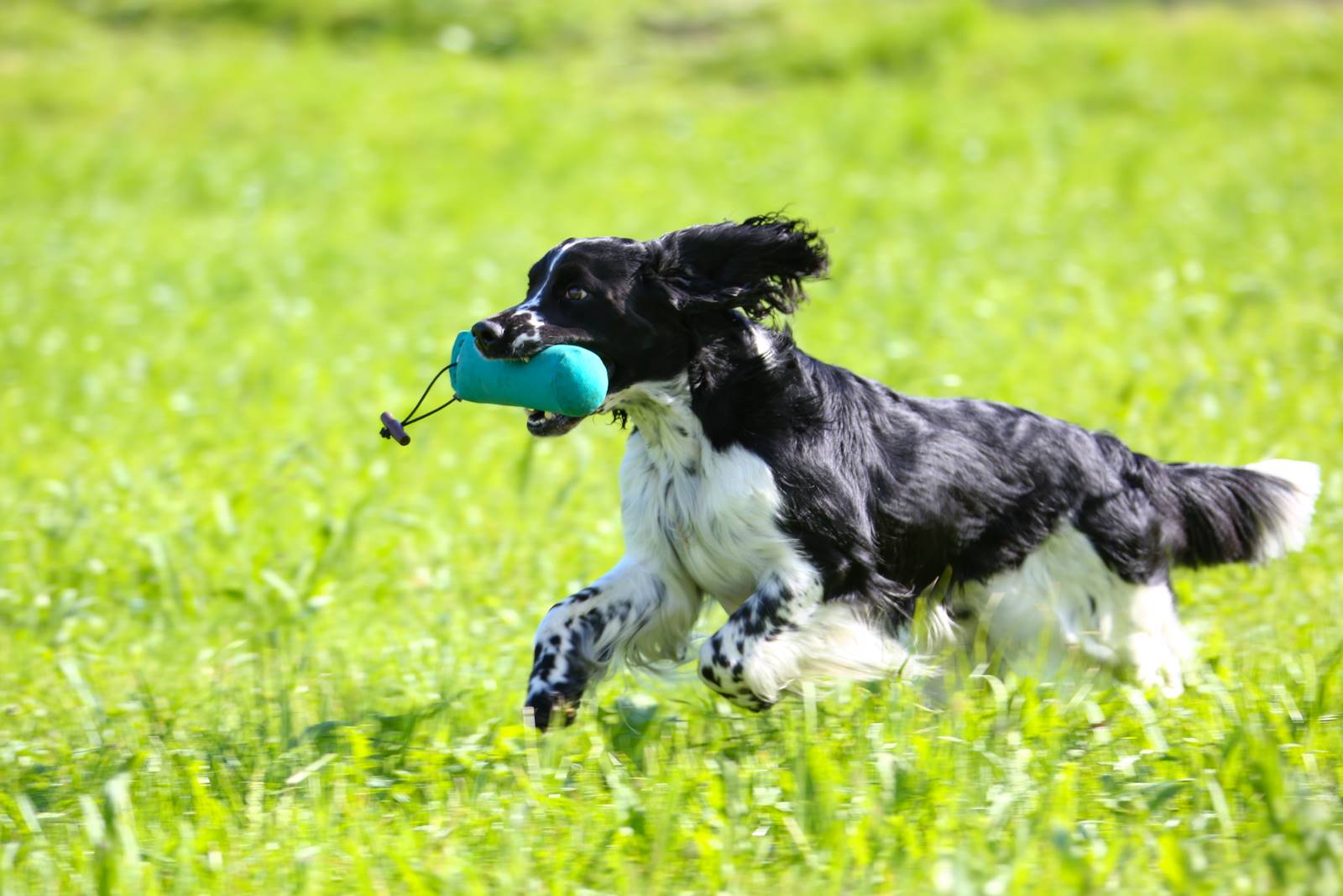 Limgl1459 20130609 1990507853