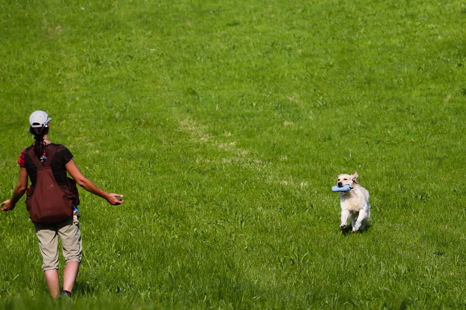 Limgl1471 20130609 2067442590