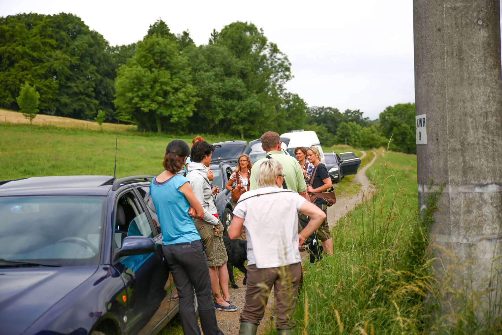 Limgl1589 20130616 2098269087