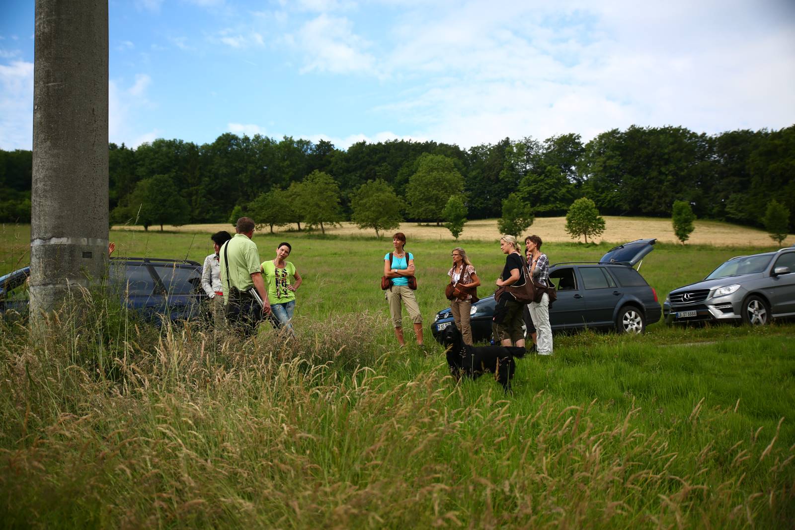 Limgl1590 20130616 1842281883