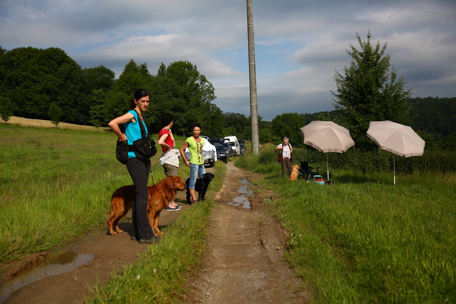 Limgl1591 20130616 1096028496