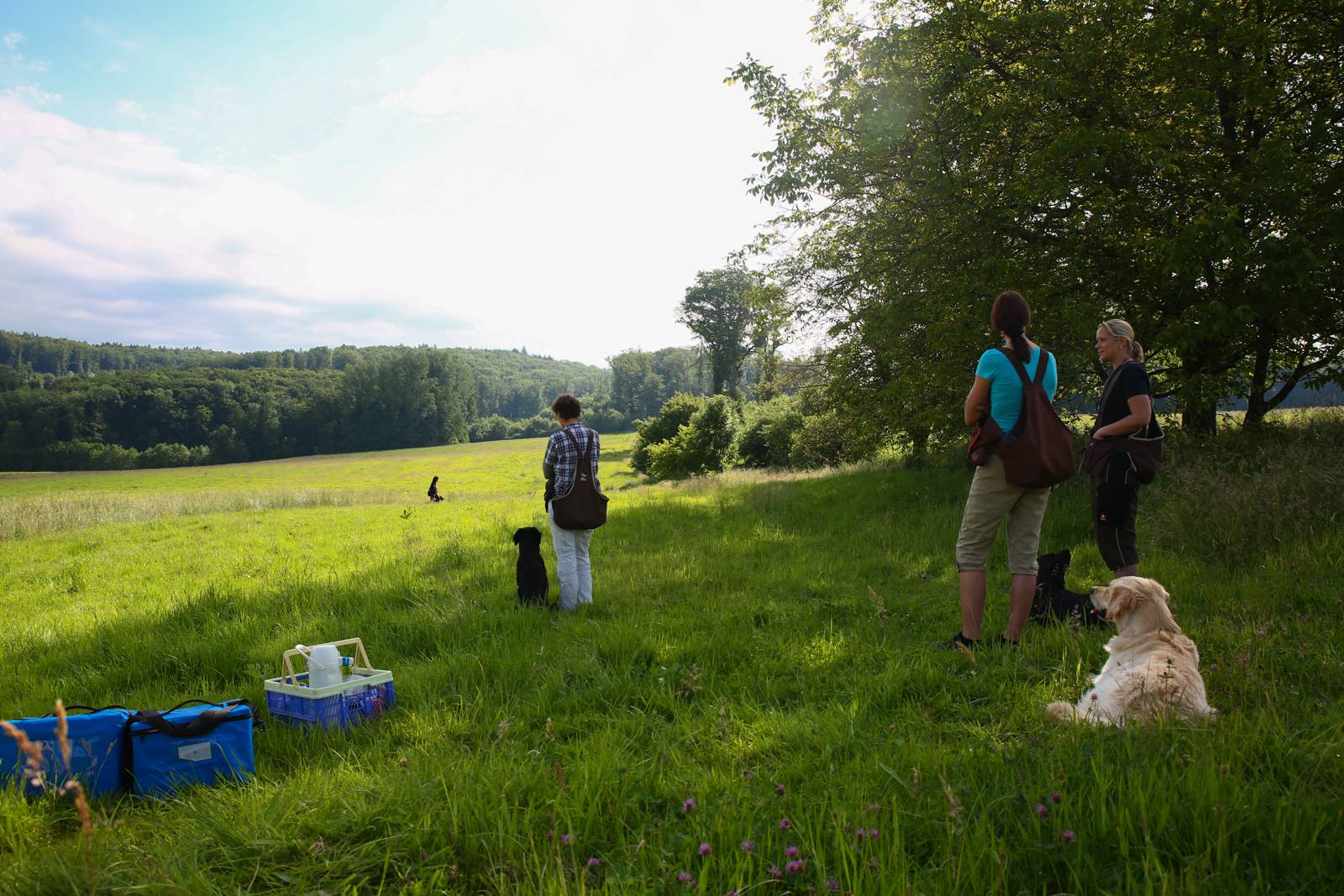 Limgl1592 20130616 1793395168