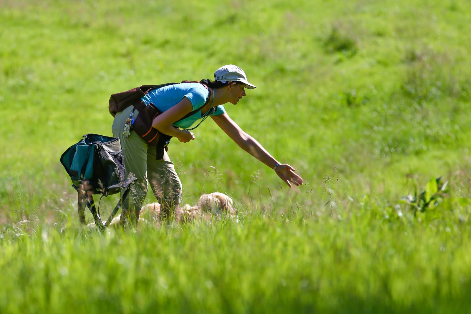 Limgl1601 20130616 1806201325