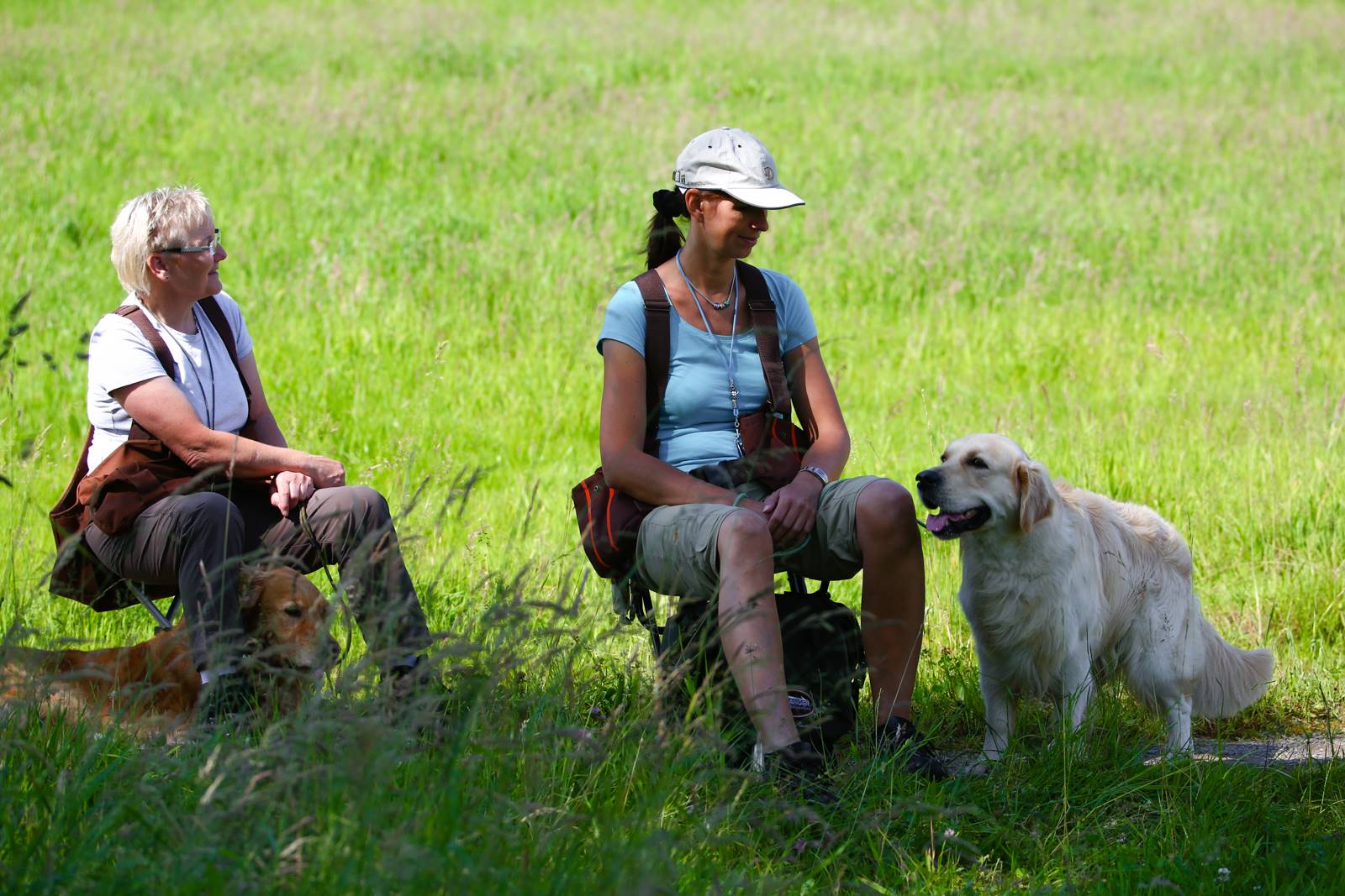 Limgl1608 20130616 1700086476