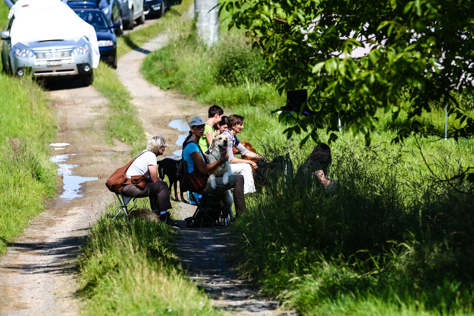 Limgl1612 20130616 1361884746