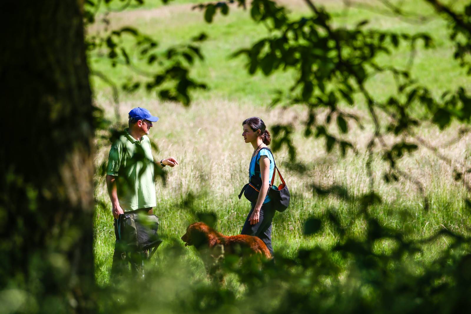 Limgl1628 20130616 1795412371