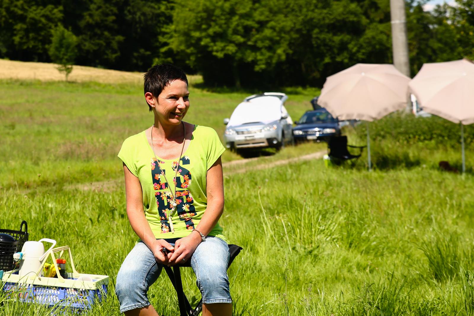 Limgl1636 20130616 1058927544