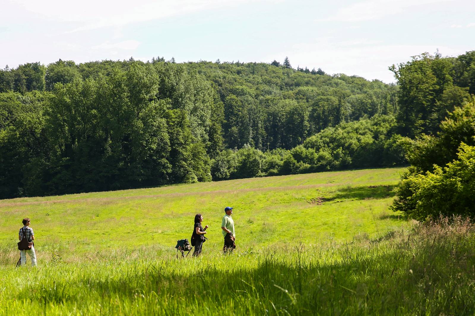 Limgl1637 20130616 1757545765