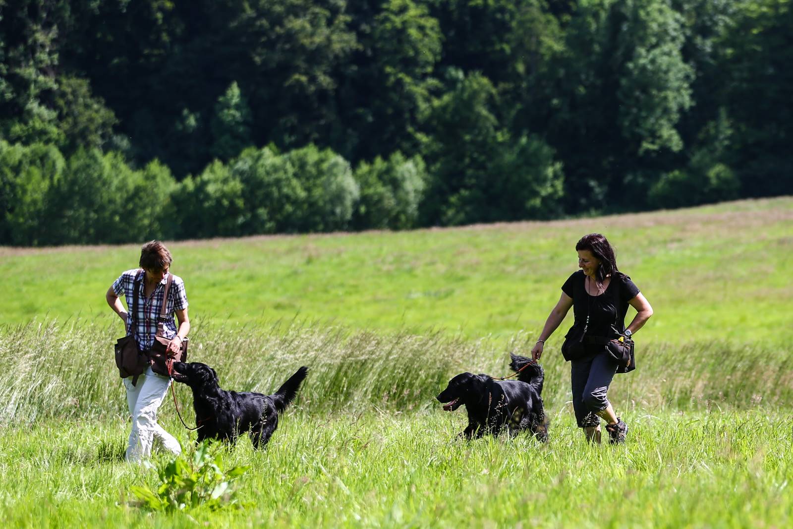 Limgl1639 20130616 1042750283