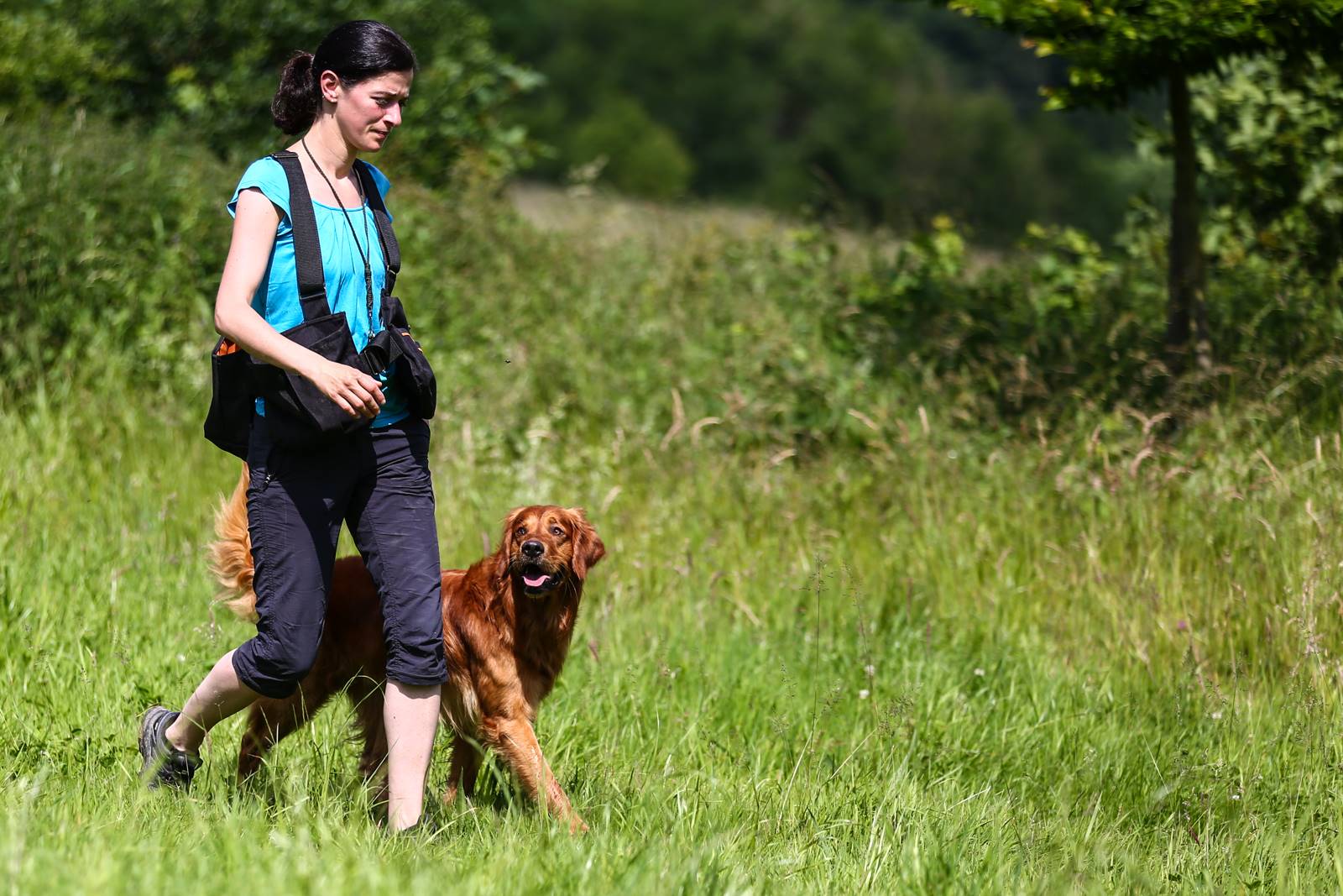 Limgl1640 20130616 1087947969