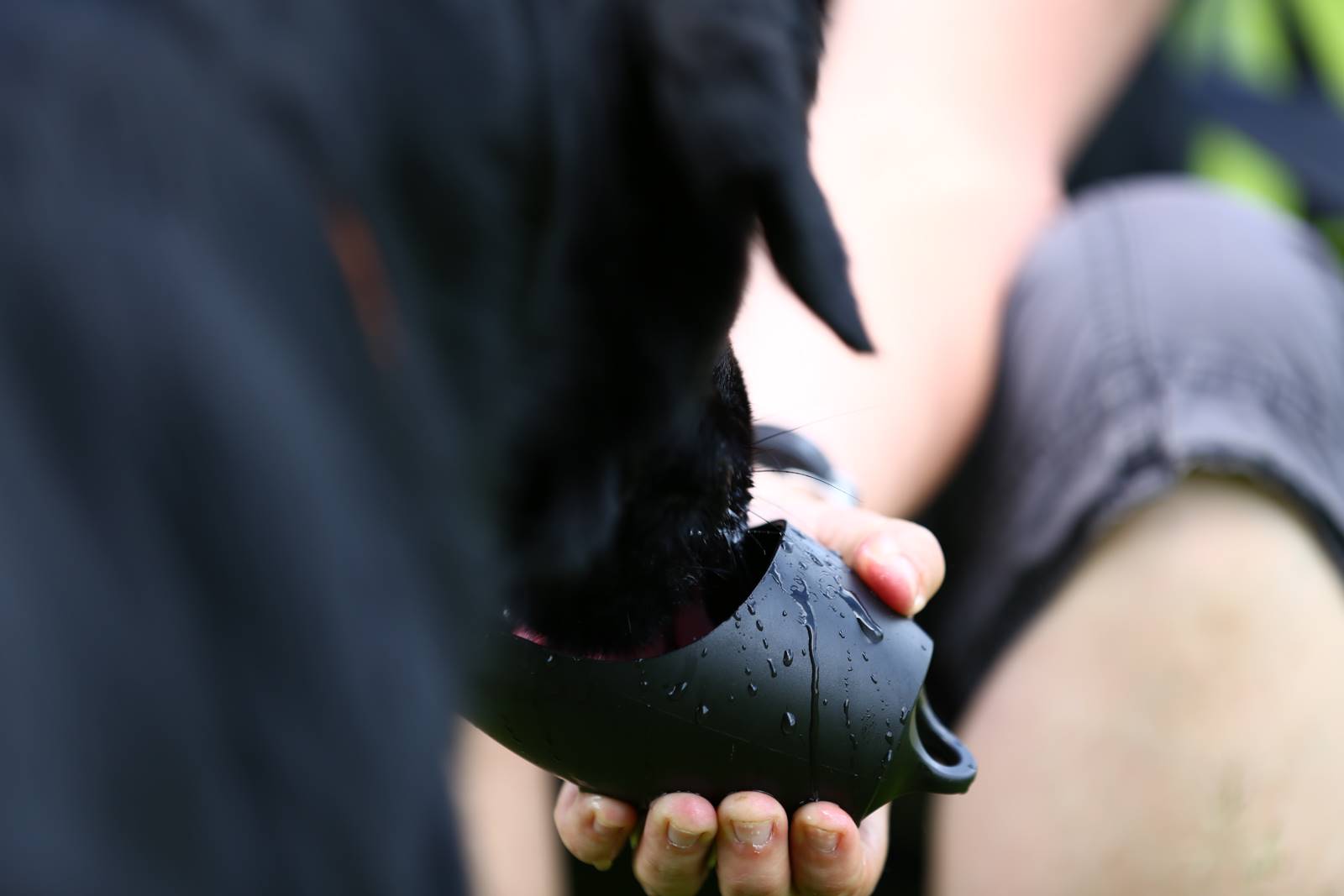 Limgl1641 20130616 1748996509