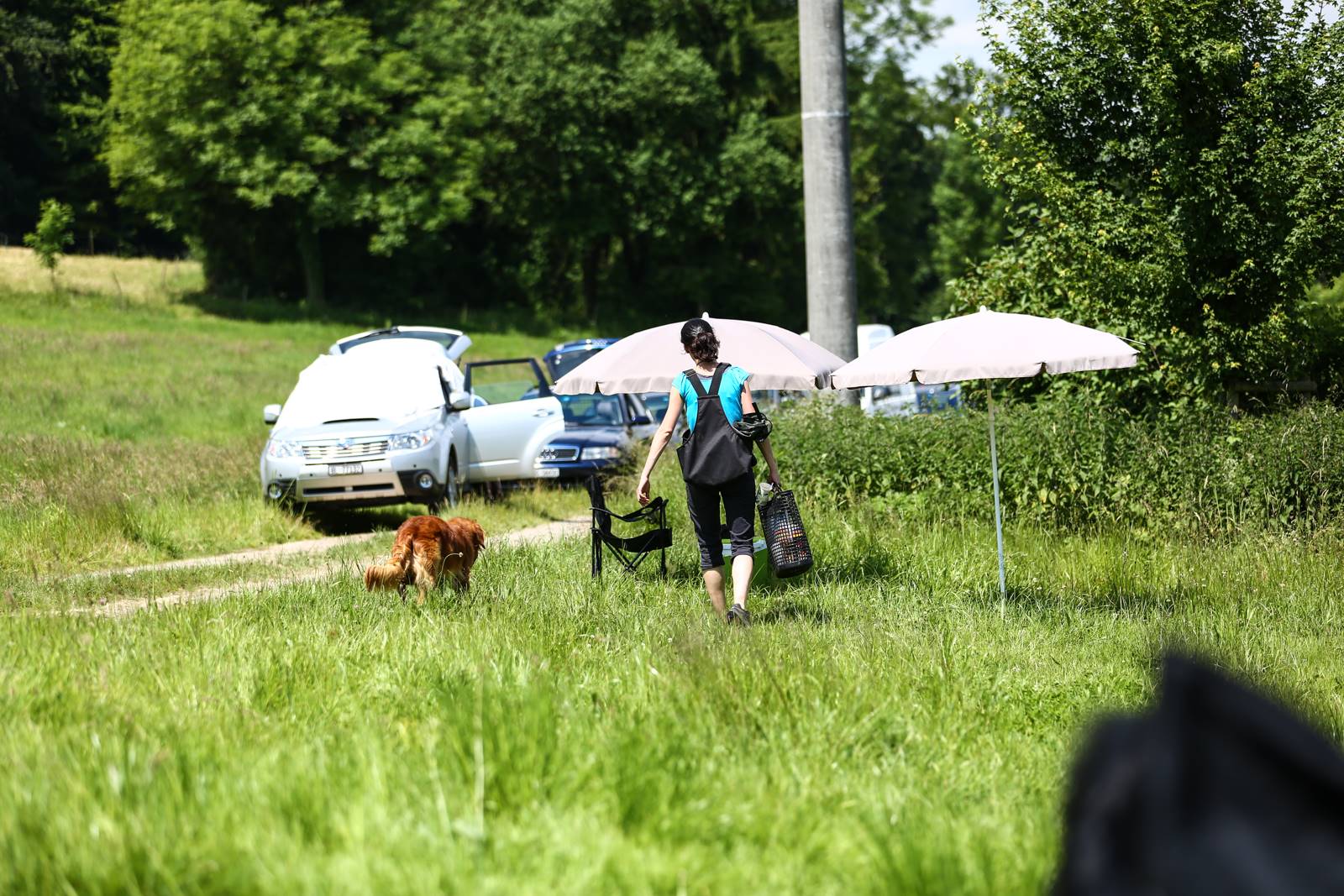 Limgl1649 20130616 1704636896