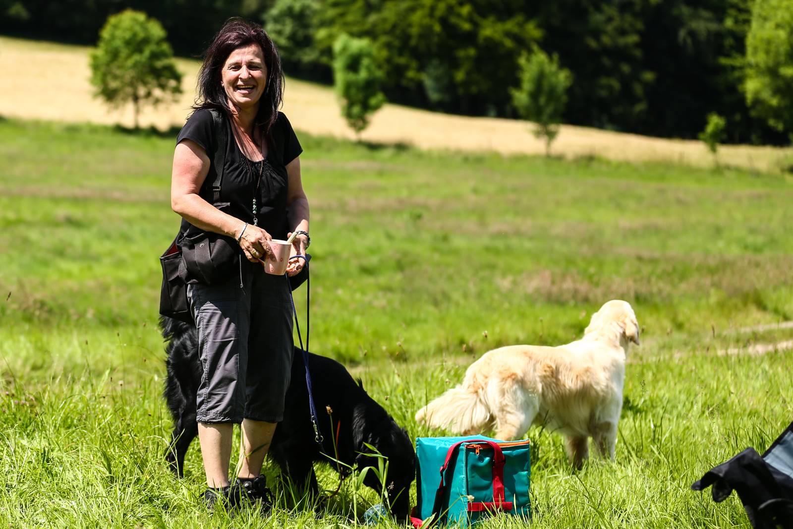 Limgl1652 20130616 1913953208