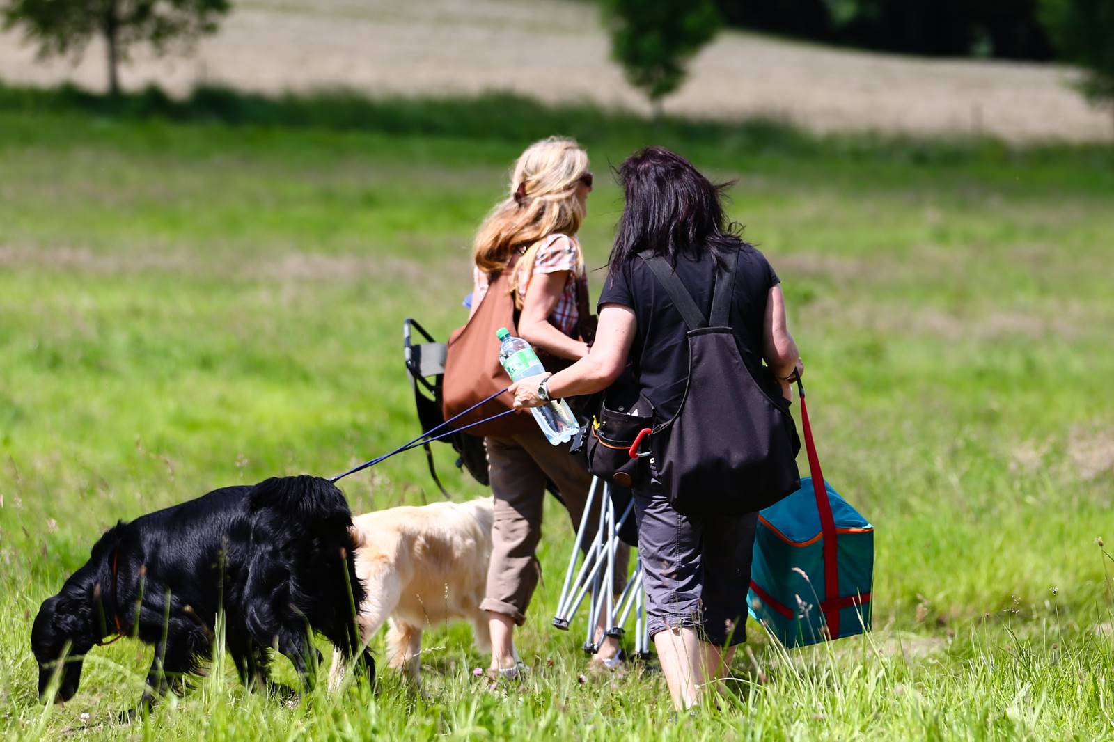 Limgl1653 20130616 1953796494