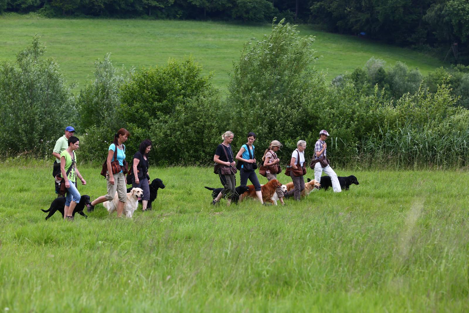 Limgl1662 20130616 1077969769