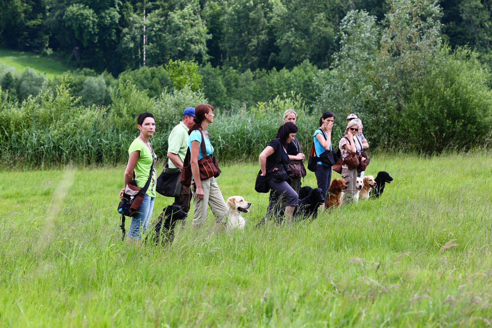 Limgl1667 20130616 1811537456