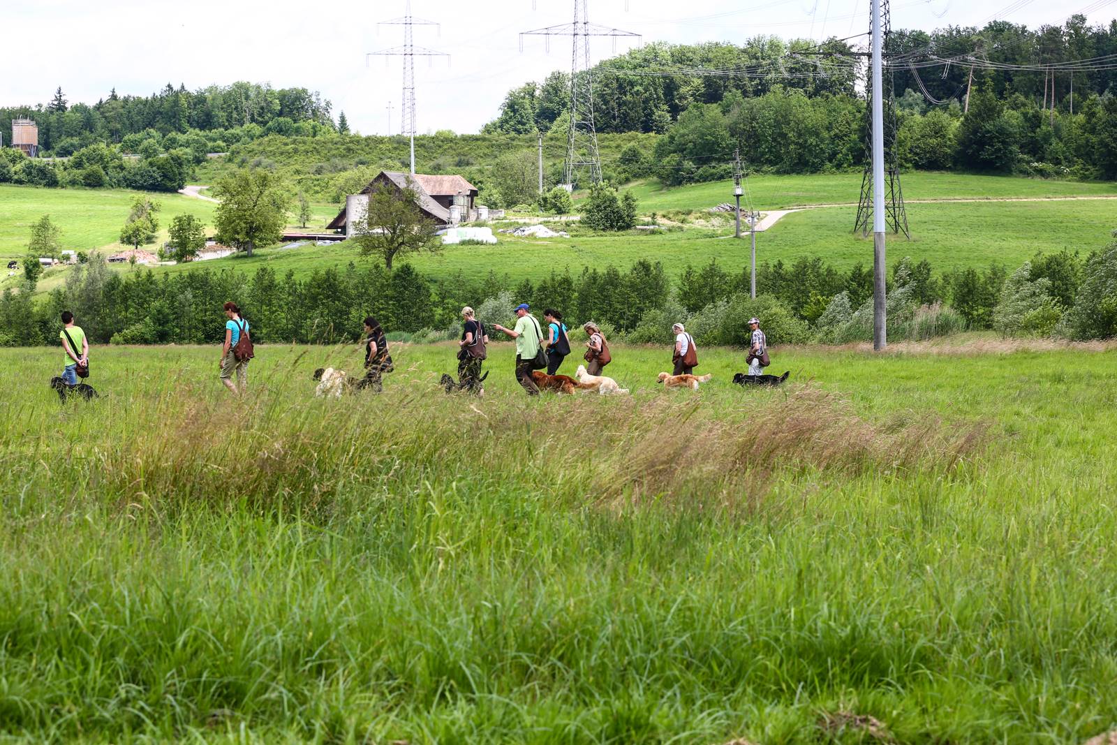 Limgl1670 20130616 1321659229