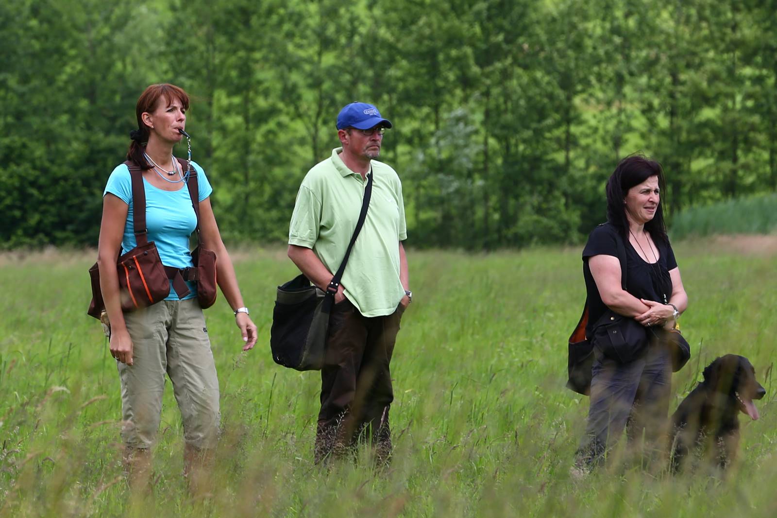 Limgl1672 20130616 1297695304