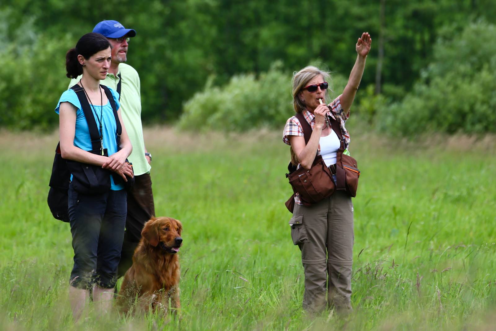 Limgl1676 20130616 2082065847