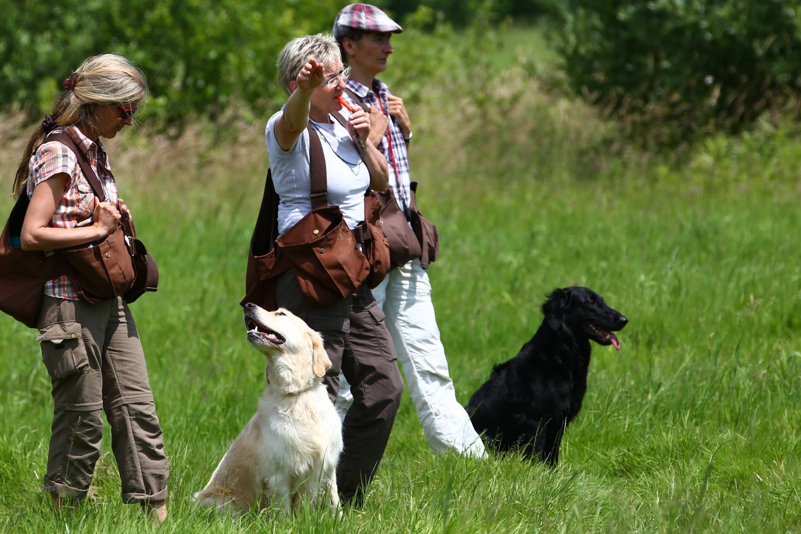 Limgl1678 20130616 1139773978