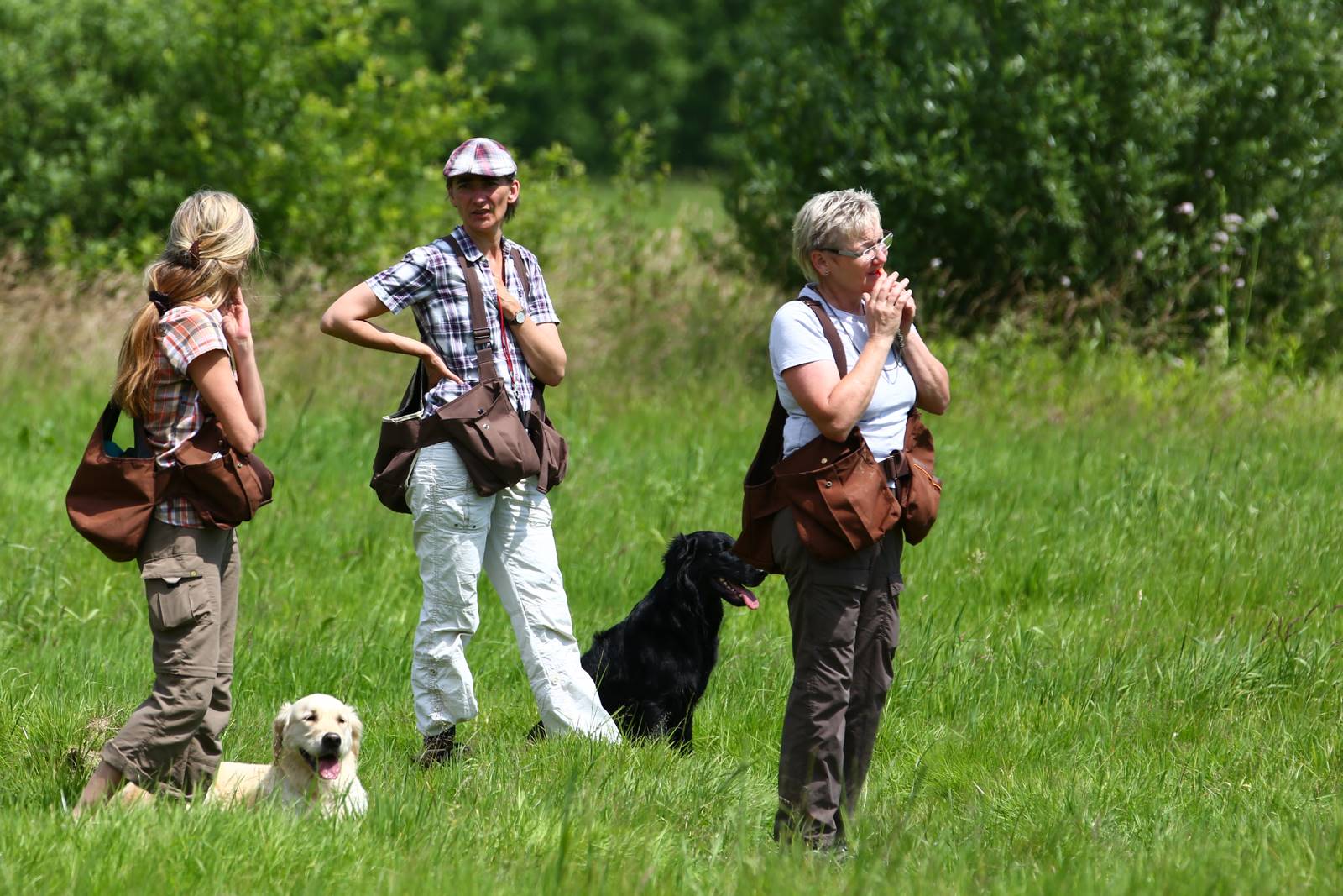 Limgl1679 20130616 2017474659