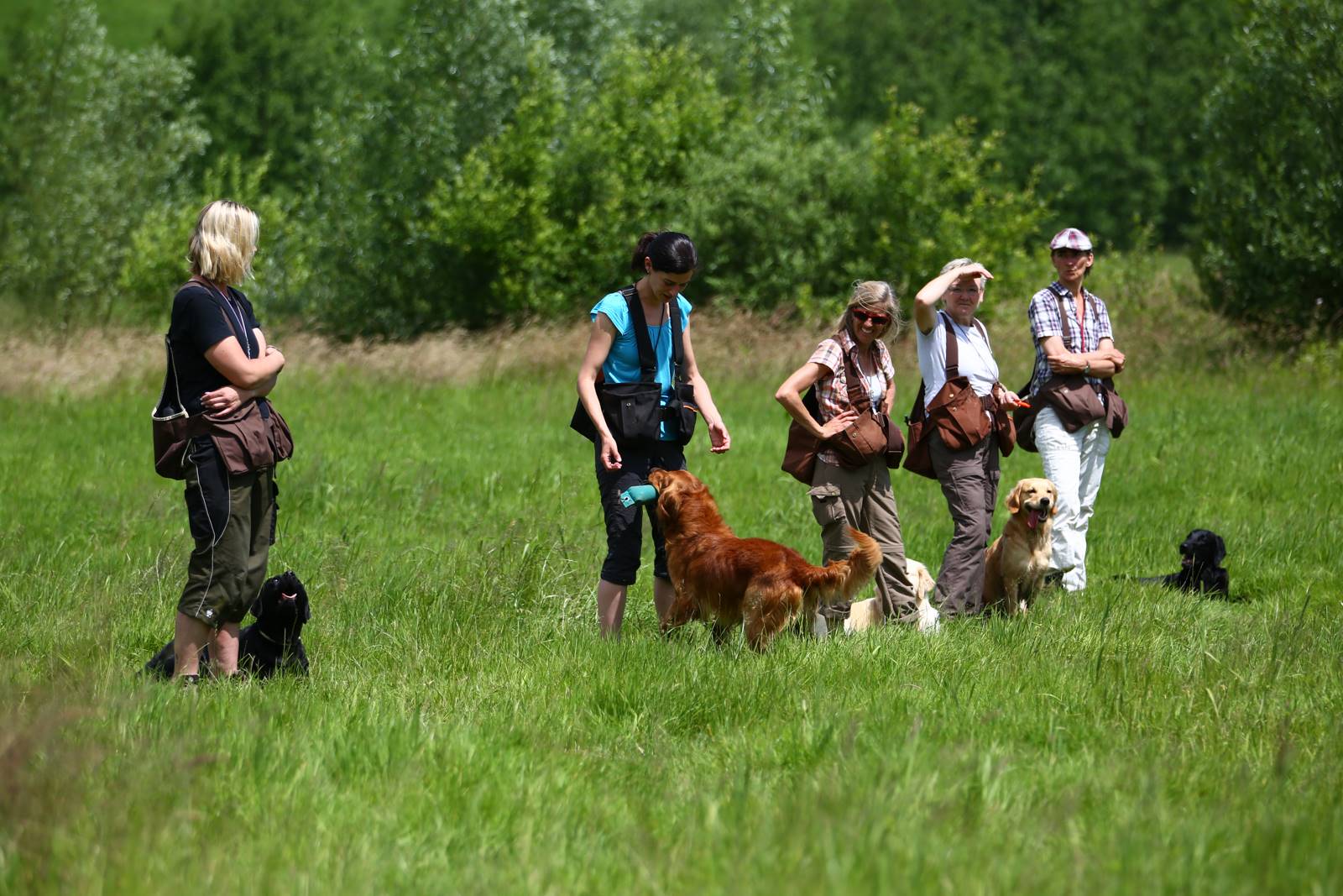 Limgl1692 20130616 1611470230