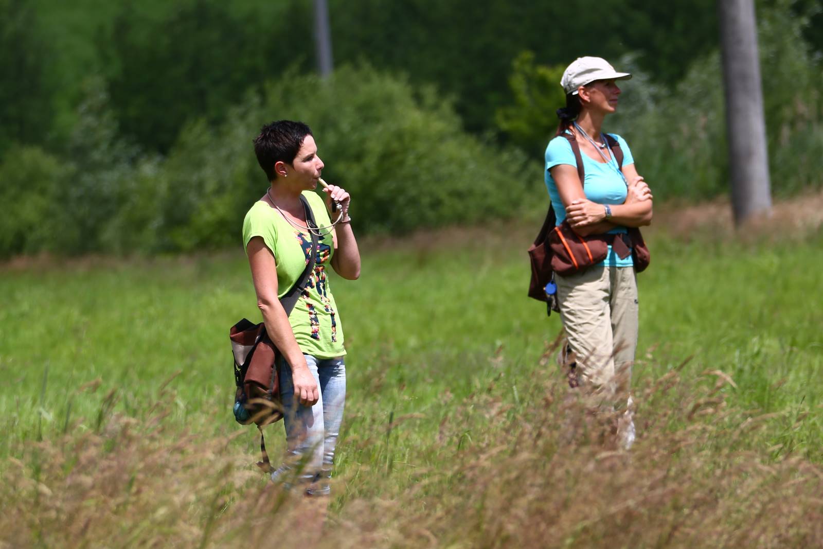 Limgl1693 20130616 1950730041