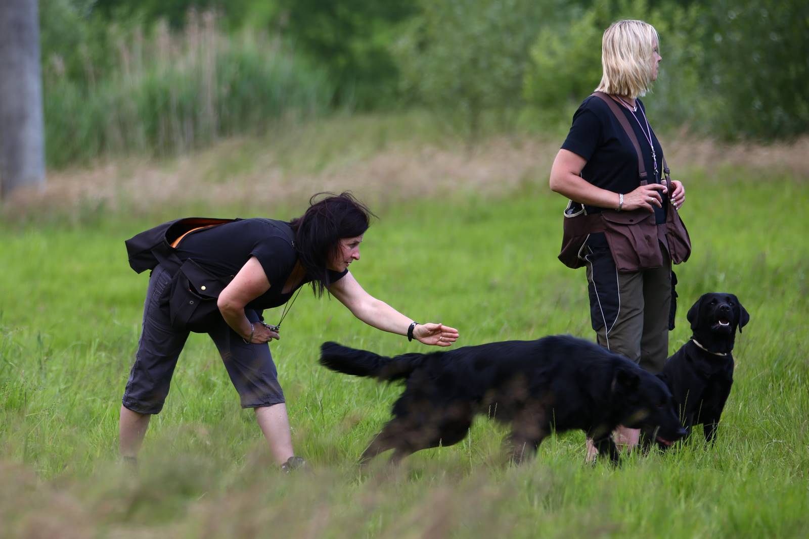 Limgl1695 20130616 1678589250