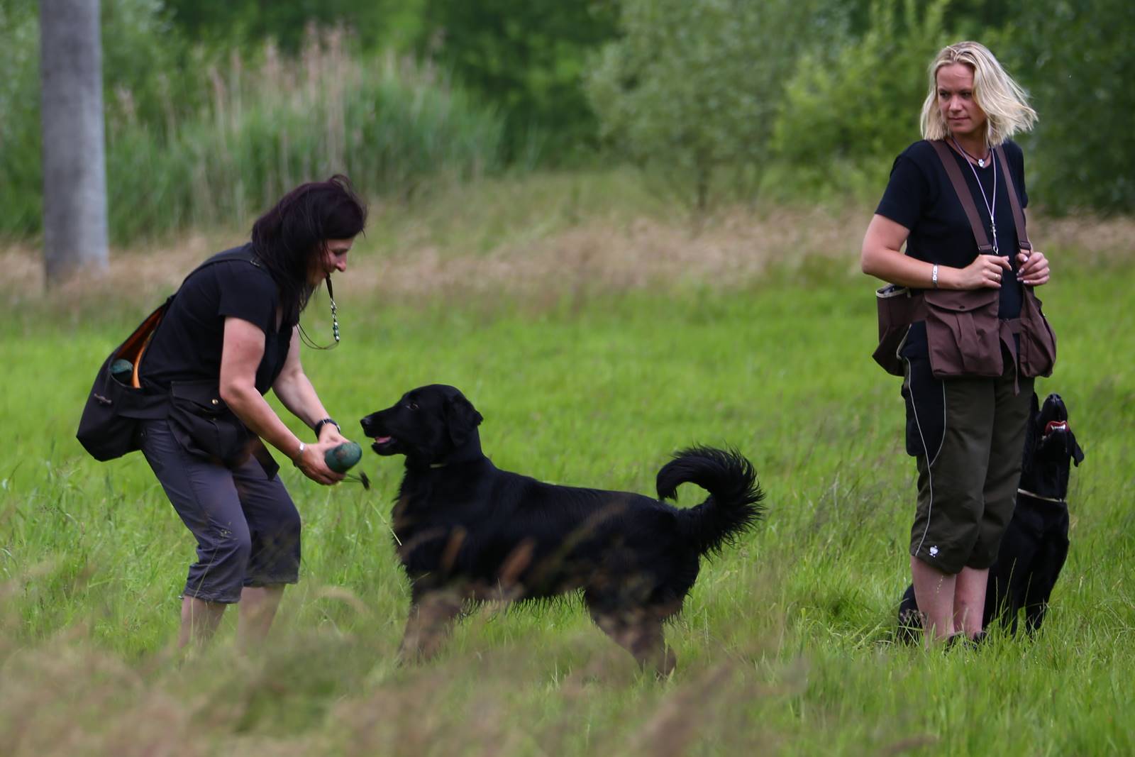 Limgl1699 20130616 1538025616