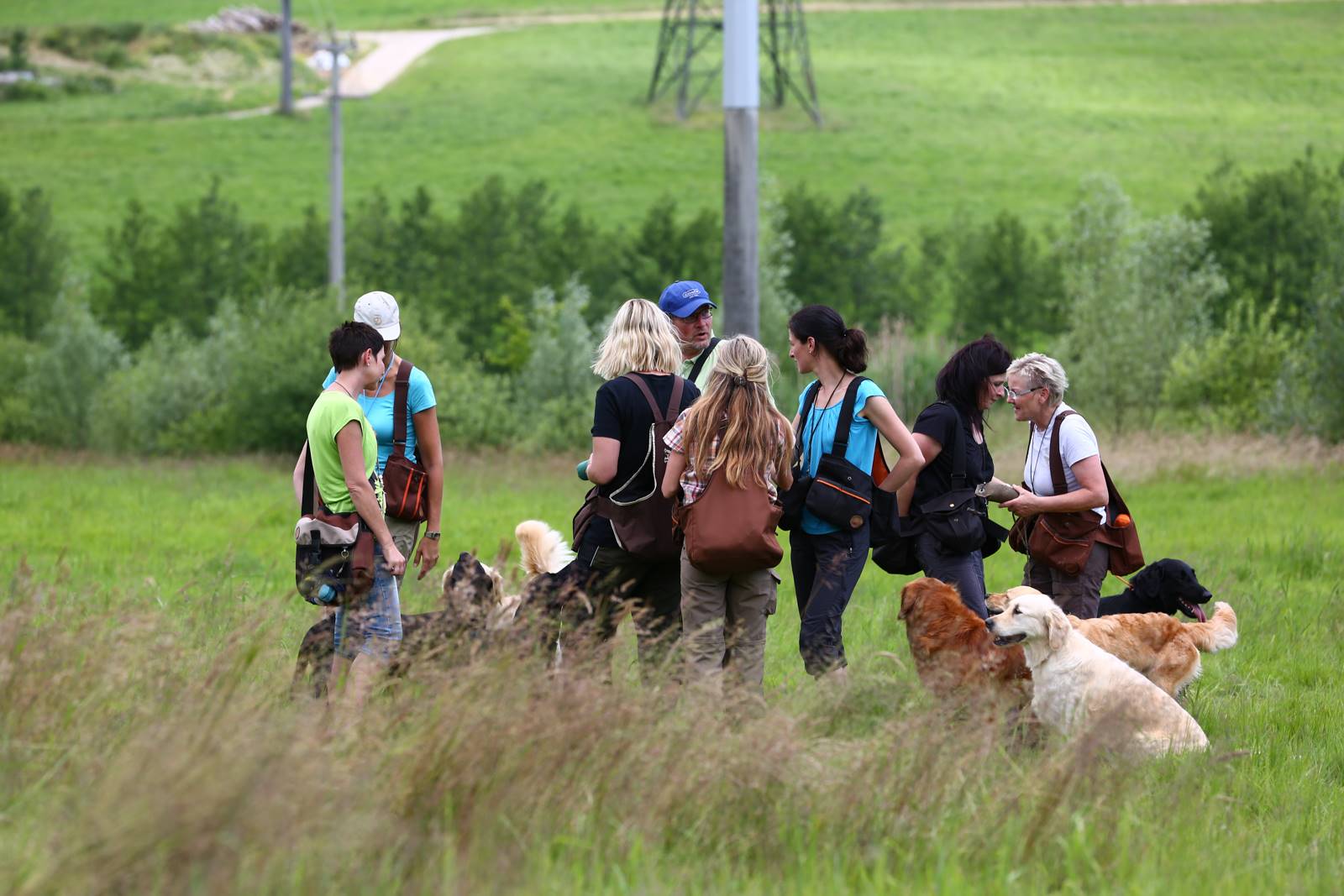 Limgl1700 20130616 1224987874