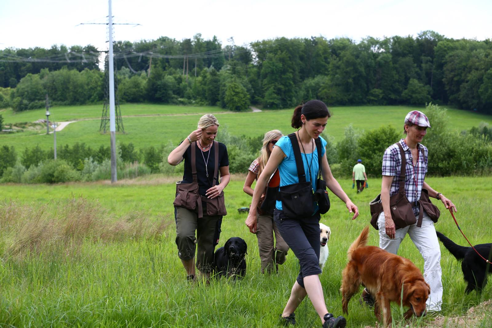 Limgl1703 20130616 1856012948