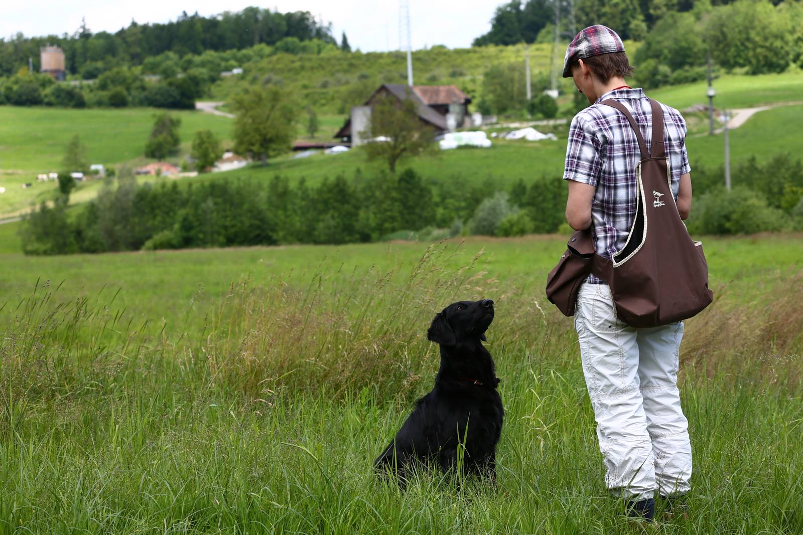 Limgl1710 20130616 1656680753